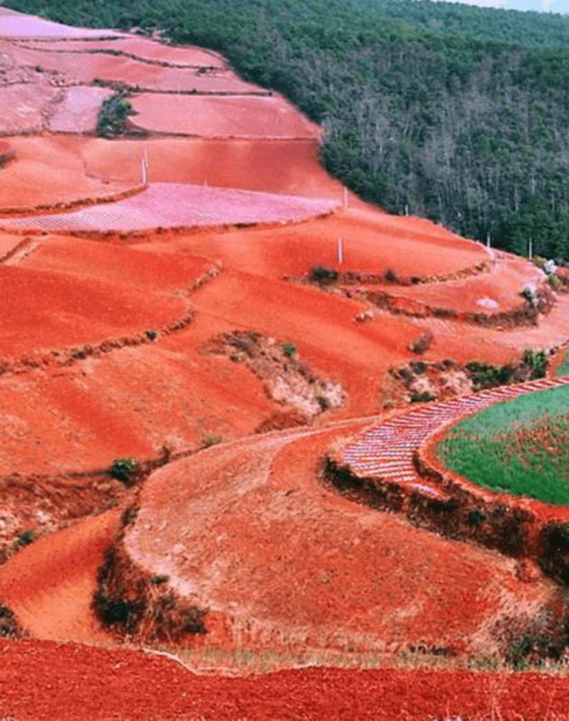 贵州台典酒土壤